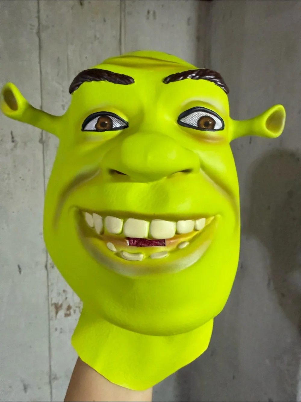 Shrek mask and hands